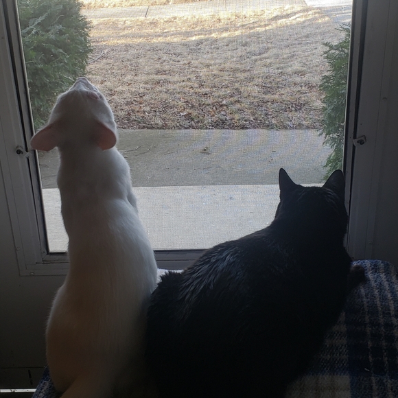 My Bebes! - Picture 5 of 15